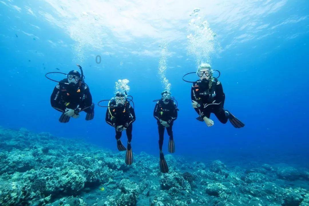 晋有二日，夏日烈阳，是为赵盾；楚国有鸟，一鸣惊人，那是熊旅